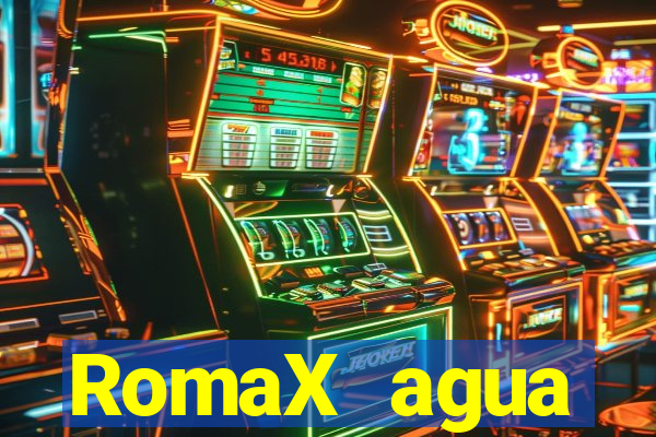 RomaX agua sanitaria fispq agua sanitaria romax